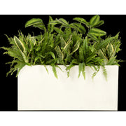 Exotic plant composition white planter