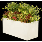 Composition of country-style planter plants