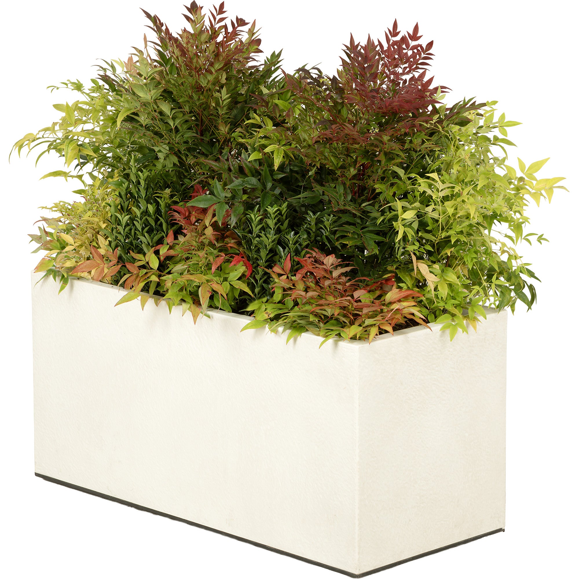 Composition of country-style planter plants
