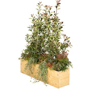 Wildflower planter/wood arrangement