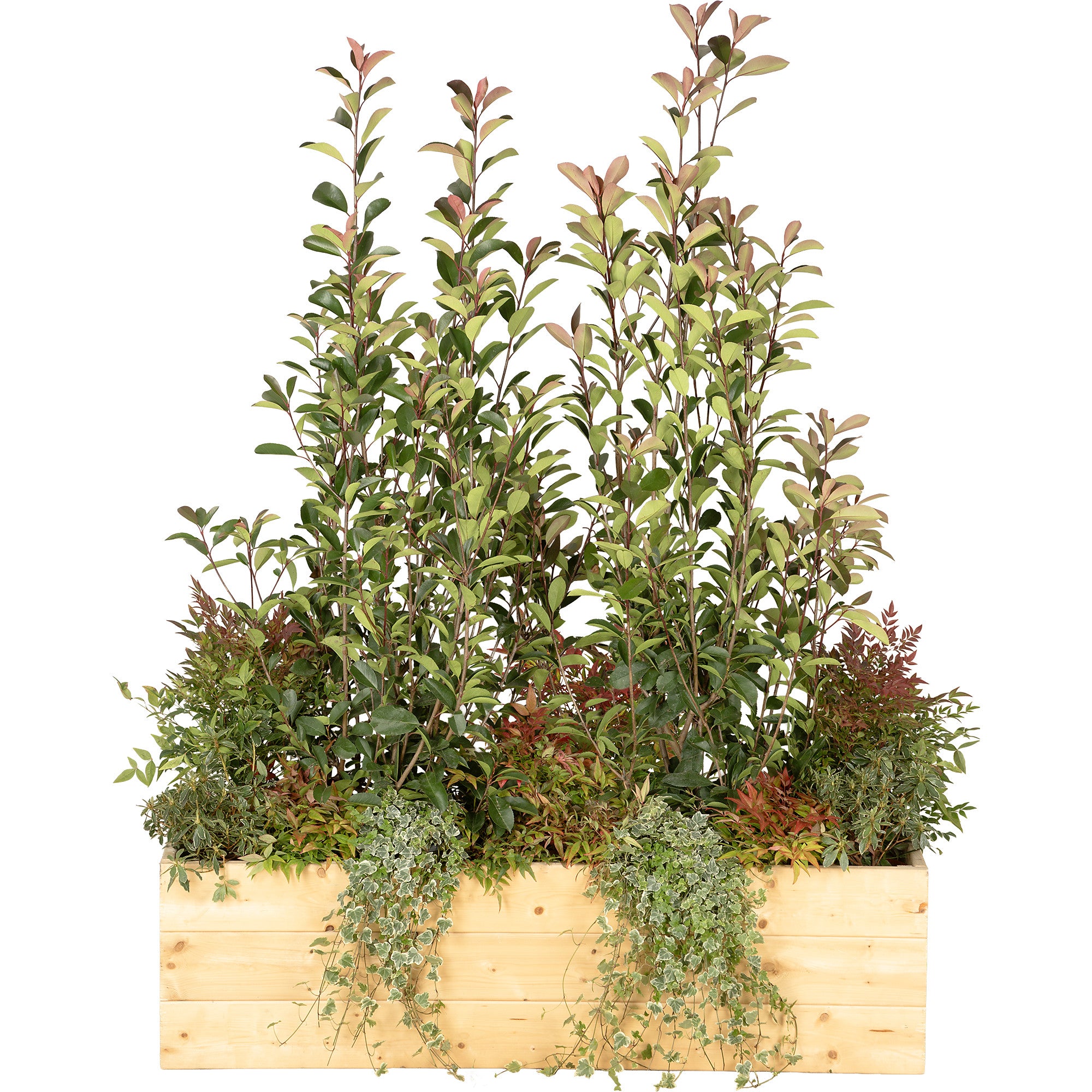 Wildflower planter/wood arrangement