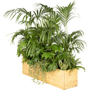 Exotic plant composition planter/wood