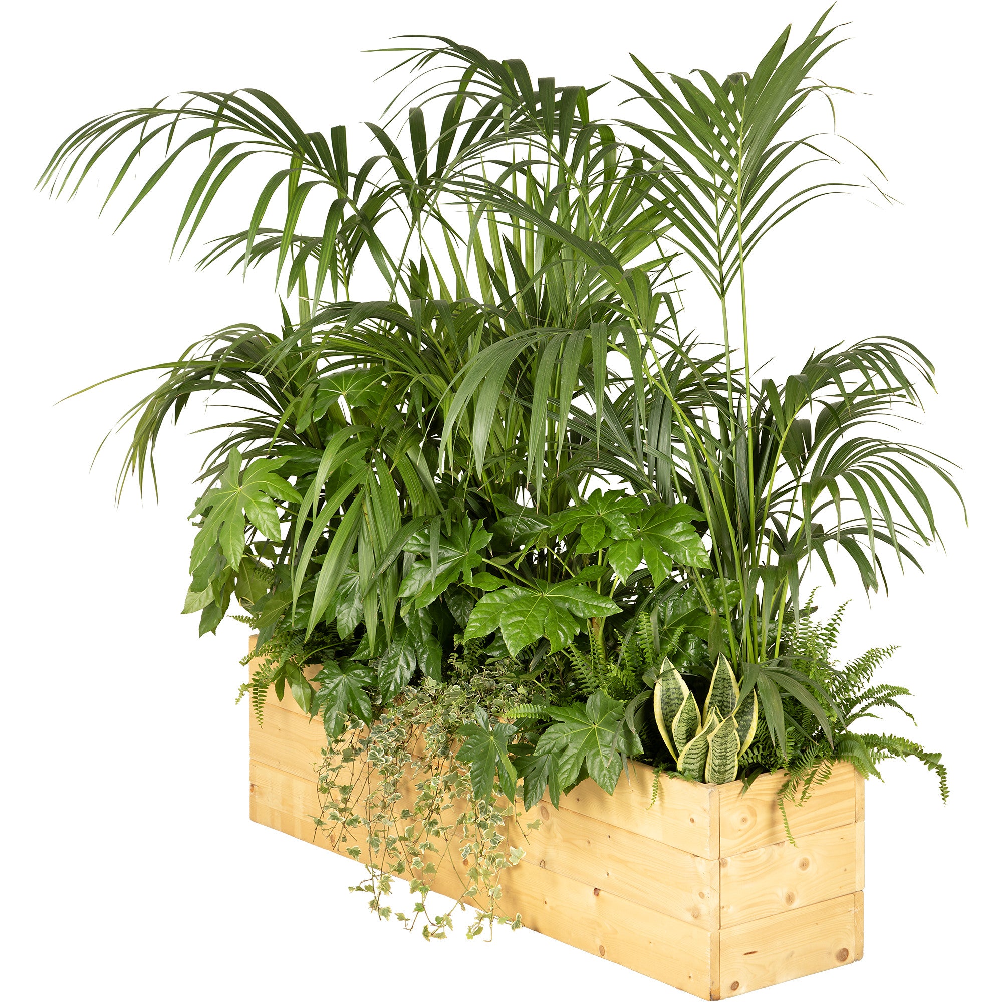 Exotic plant composition planter/wood