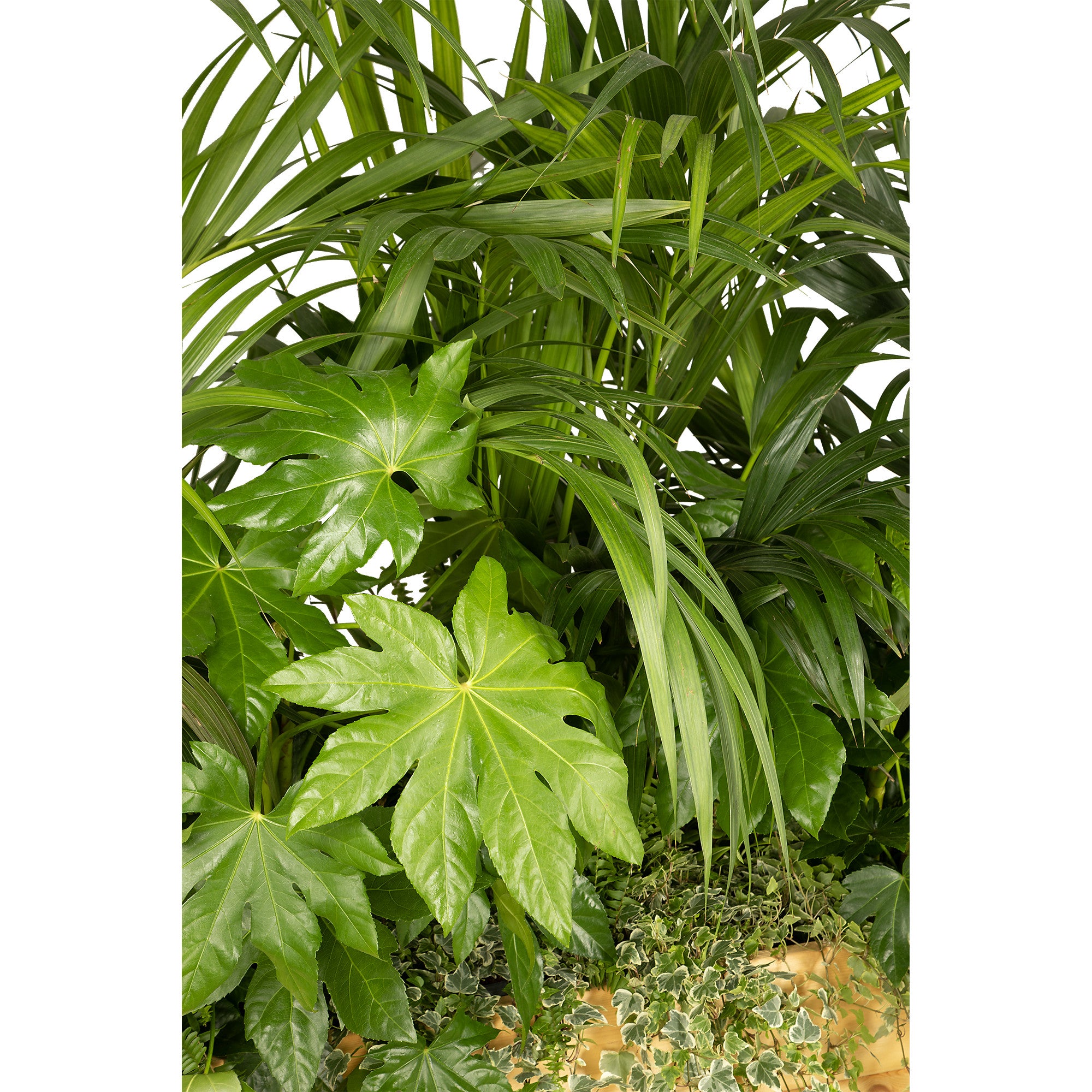 Exotic plant composition planter/wood