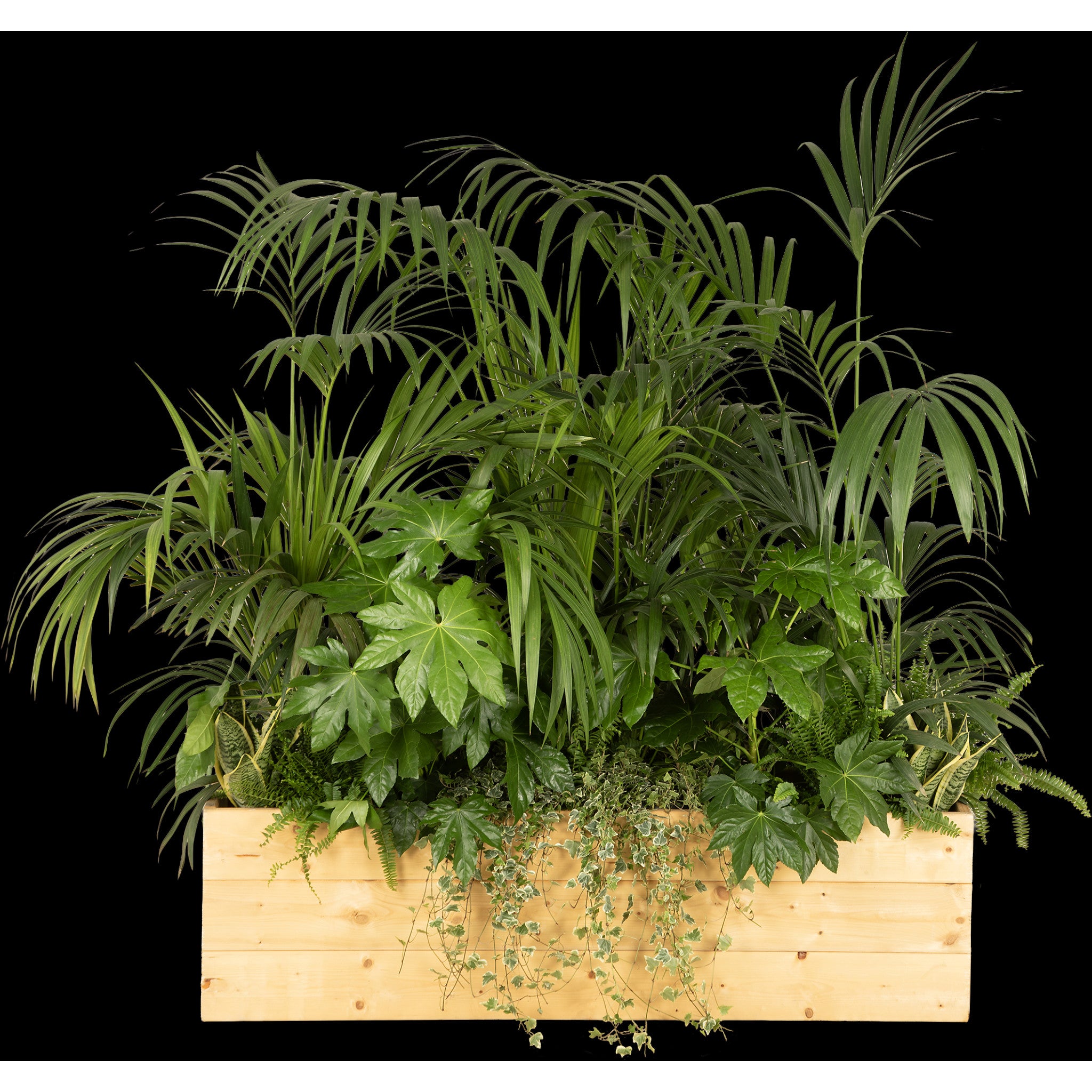 Exotic plant composition planter/wood