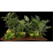 Exotic Plant Island
