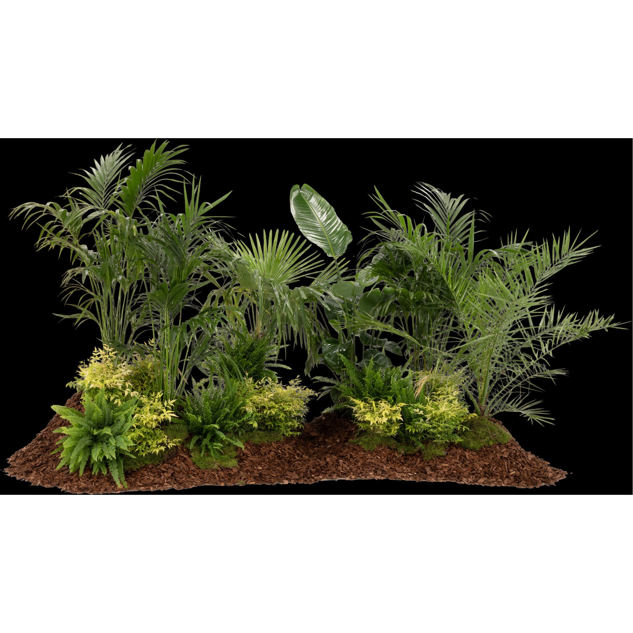 Exotic Plant Island