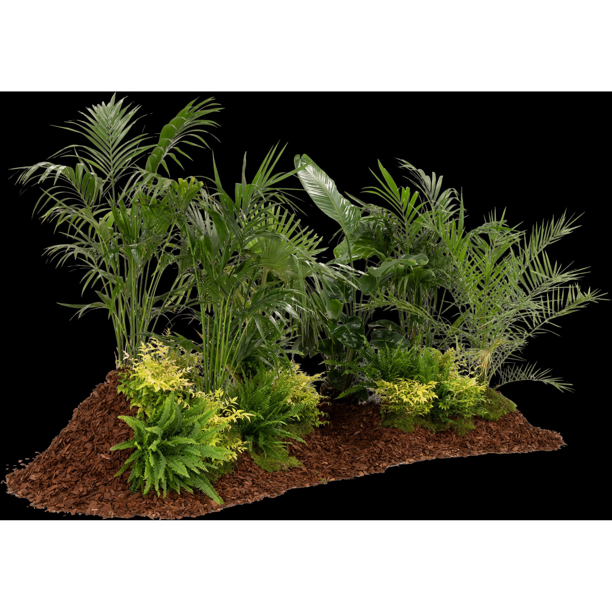 Exotic Plant Island