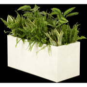 Exotic plant arrangement