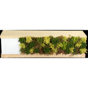 Plant-Based Buffet - Large Module