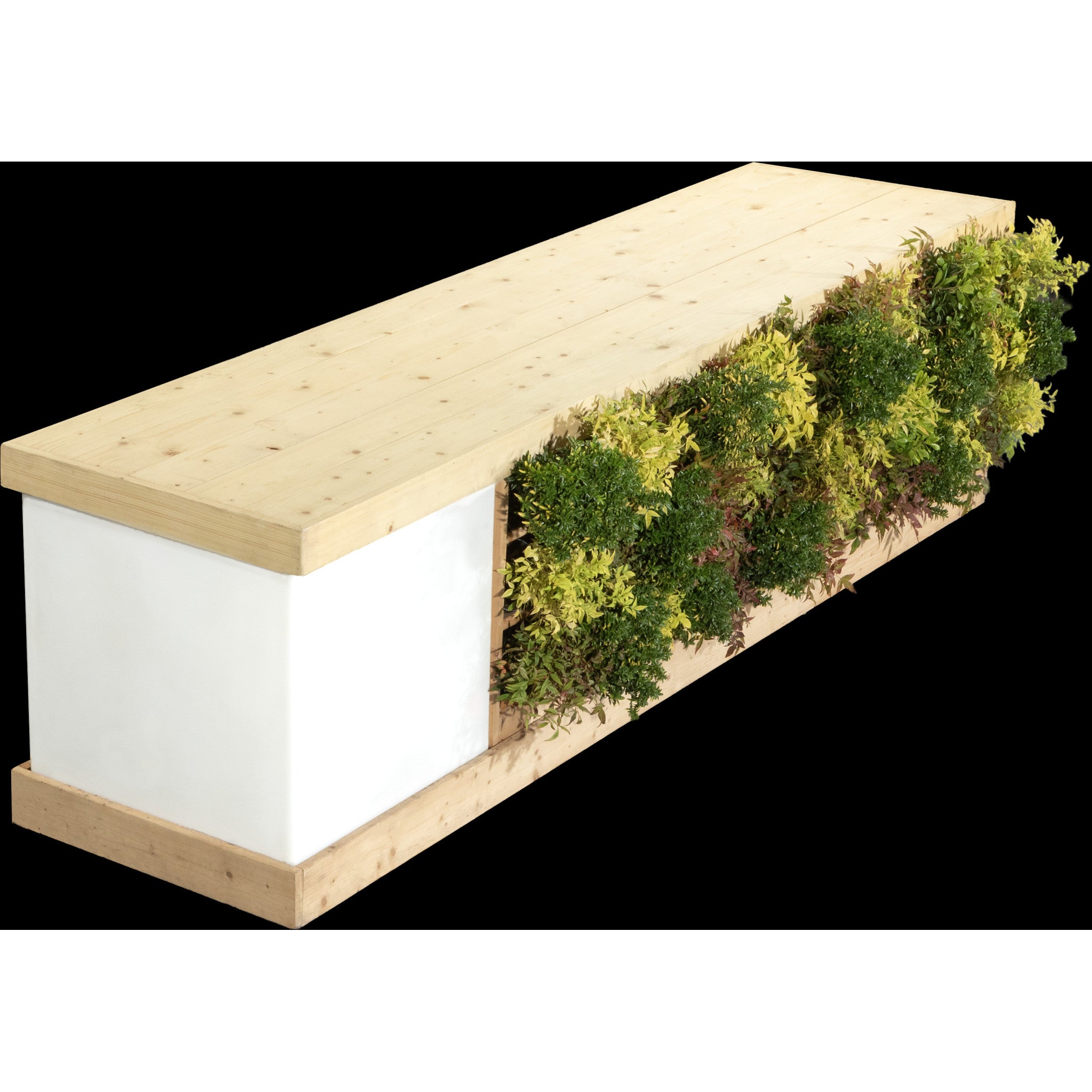 Plant-Based Buffet - Large Module