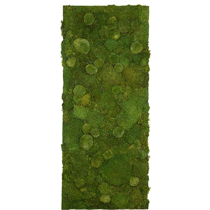 Preserved moss wall per square meter