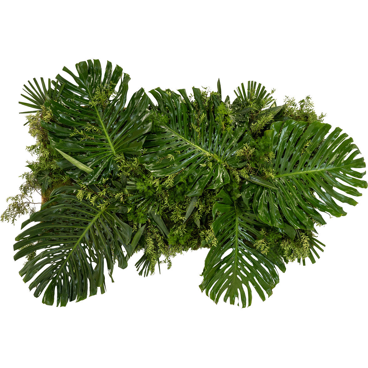 Green wall with natural foliage per m2