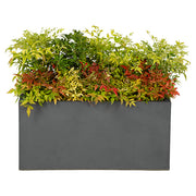 Composition of wild flowers for a planter