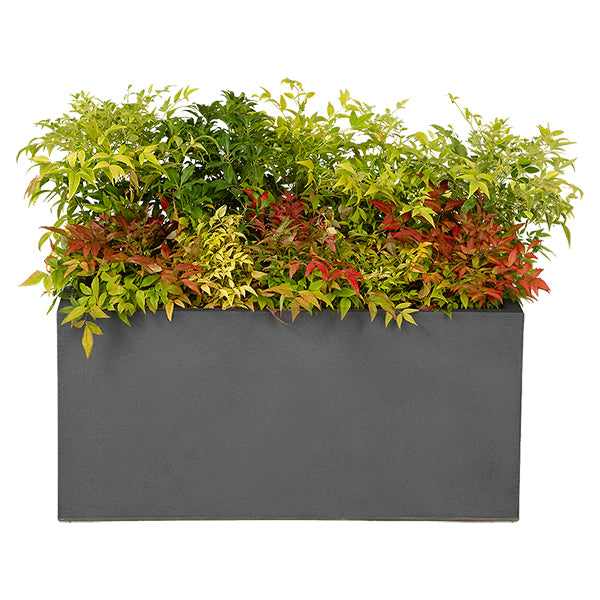 Composition of wild flowers for a planter