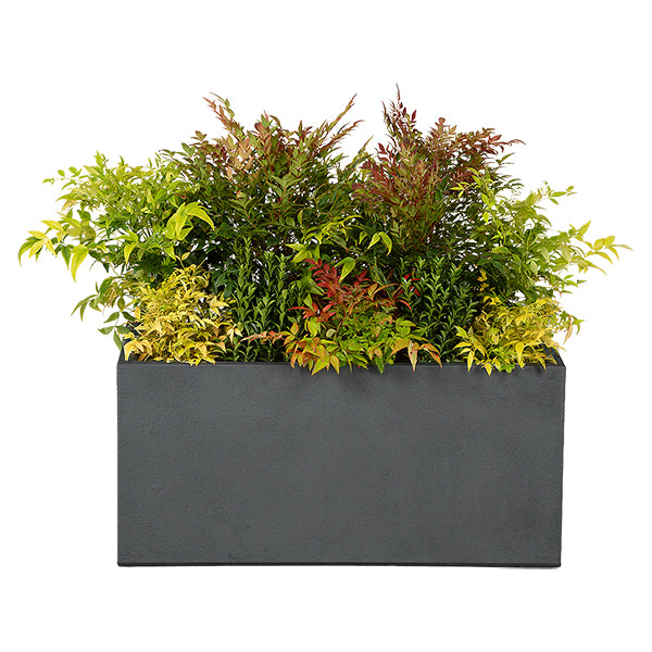 Composition of wild flowers for a planter