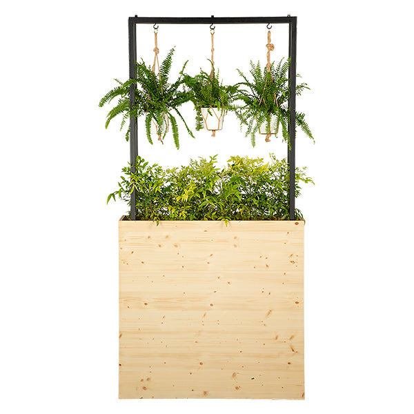 Wood / Metal Planter + Plants