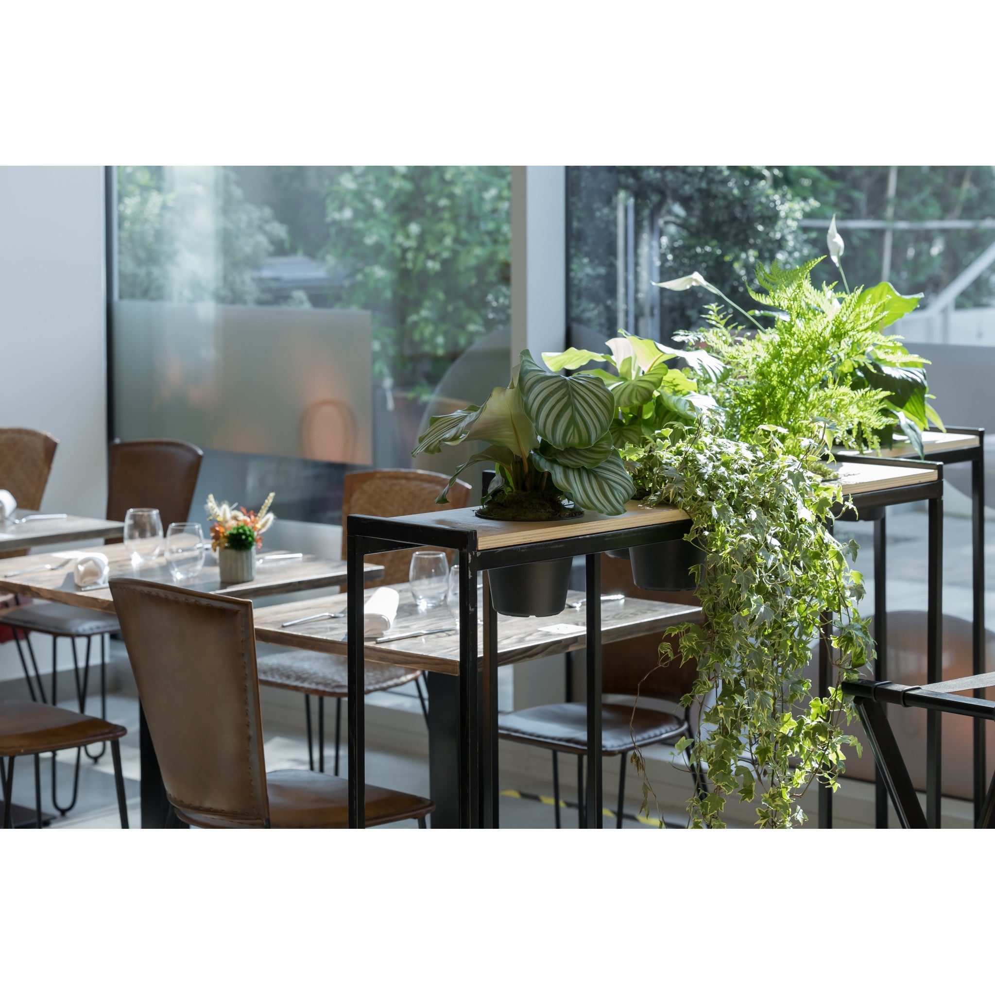 Smart Plant Partition H 110 cm