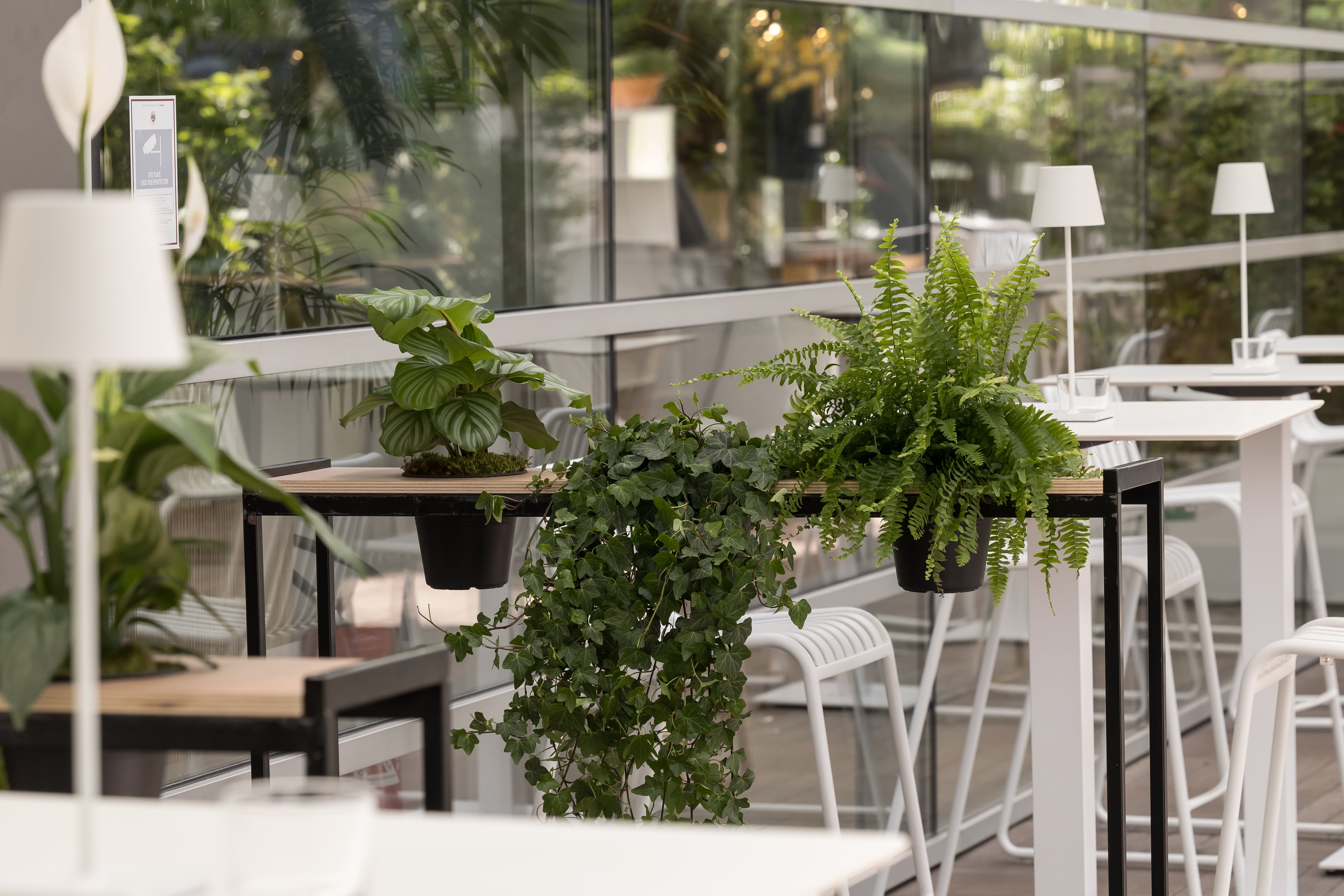 Smart Plant Partition H 110 cm