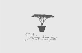 One-day tree