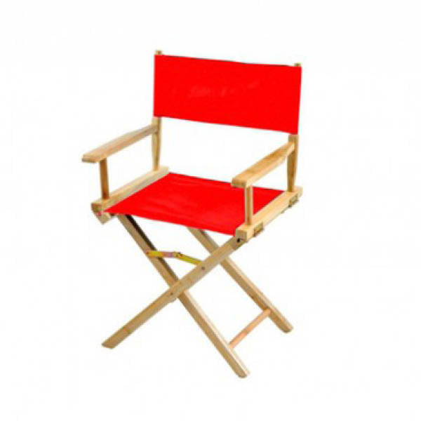 Director's chair