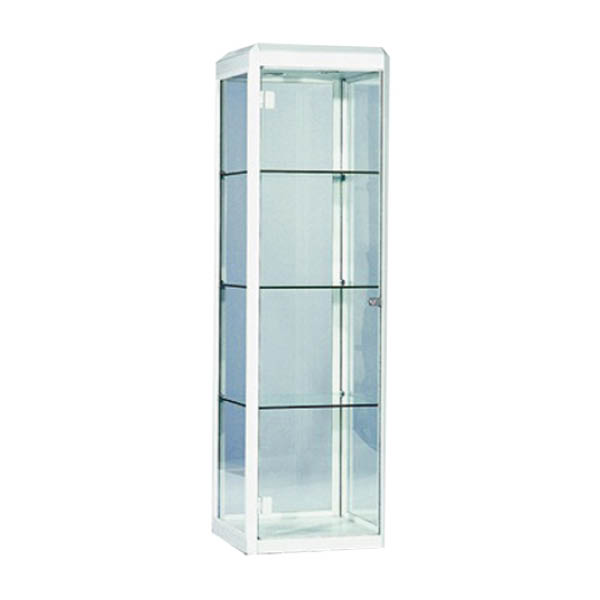 Ensor / Topaz Display Case