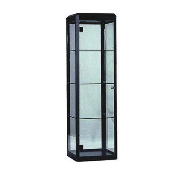 Ensor / Topaz Display Case